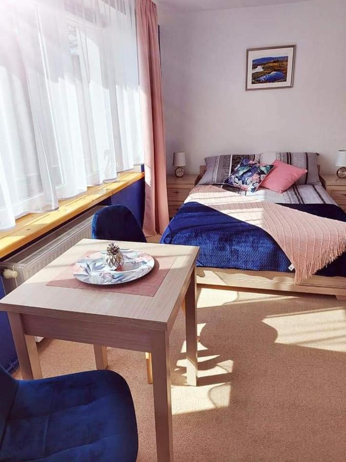 Pokoje Goscinne "Trudzin-Ski" Świeradów-Zdrój Εξωτερικό φωτογραφία