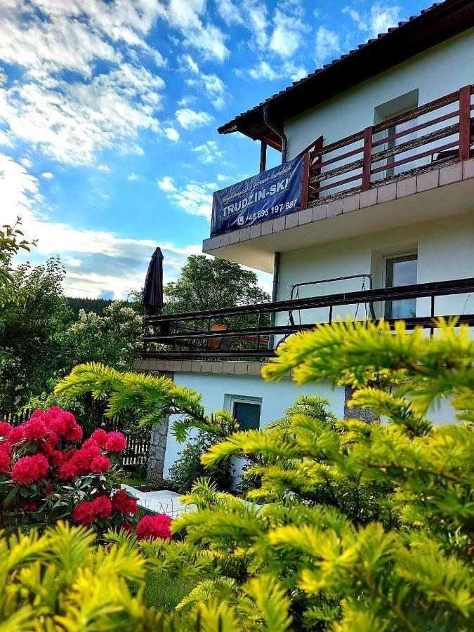 Pokoje Goscinne "Trudzin-Ski" Świeradów-Zdrój Εξωτερικό φωτογραφία